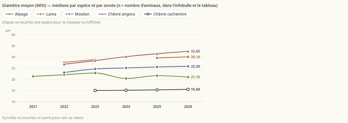 Fibre année contre année, vue du troupeau.